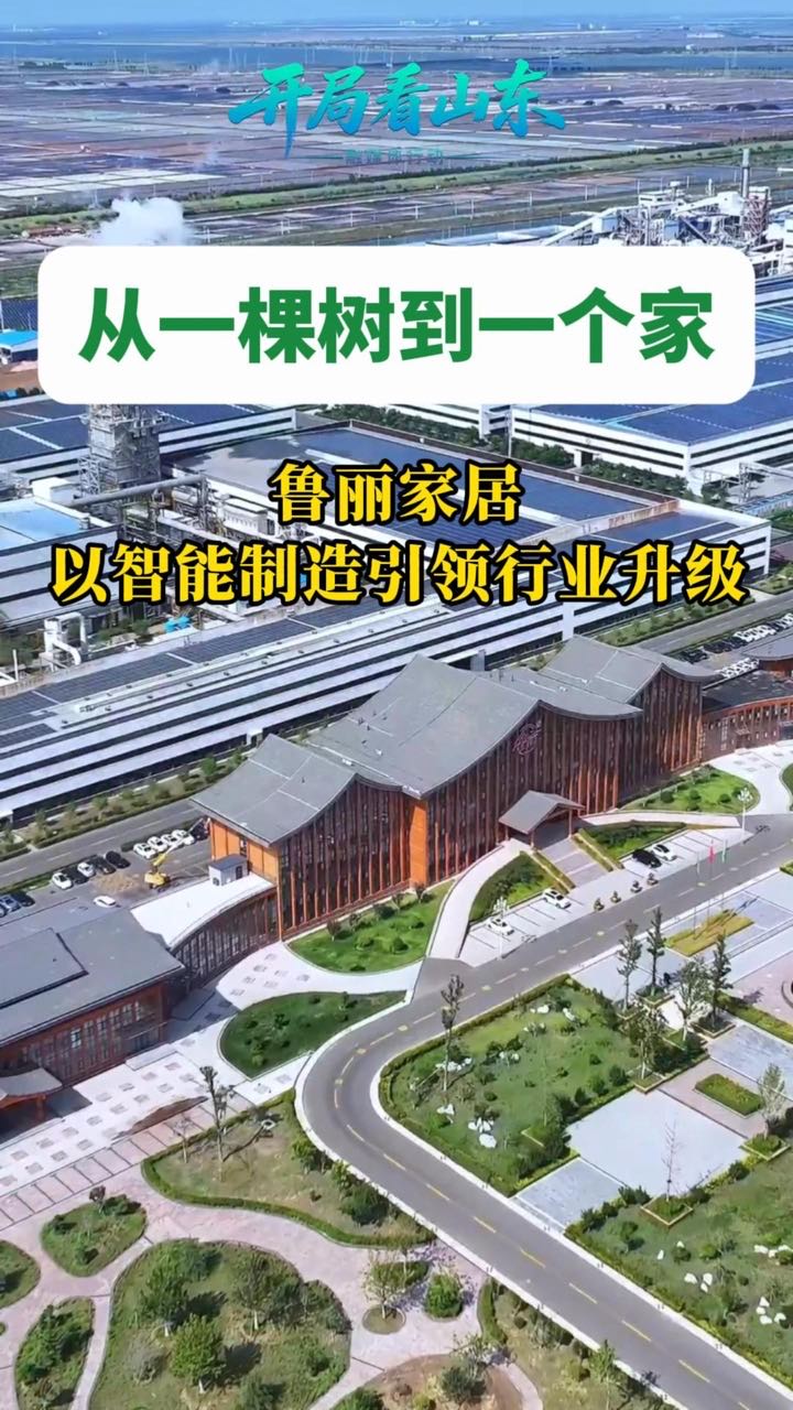 從一棵樹到一個家  魯麗家居以智能制造引領行業升級